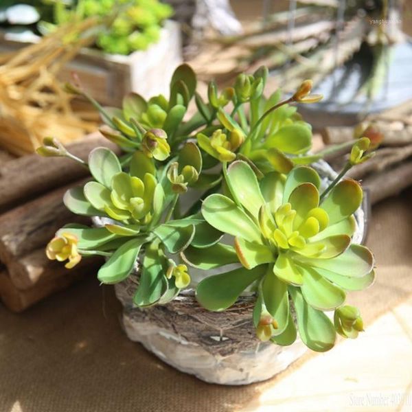 decorative flowers & wreaths 1 pcs artificial fleshiness cactus plant fake succulent real touch palm bonsai landscape flower for home table
decorative flowers & wreaths 1 pcs artificial fleshiness cactus plant fake succulent real touch palm bonsai landscape flower for home table