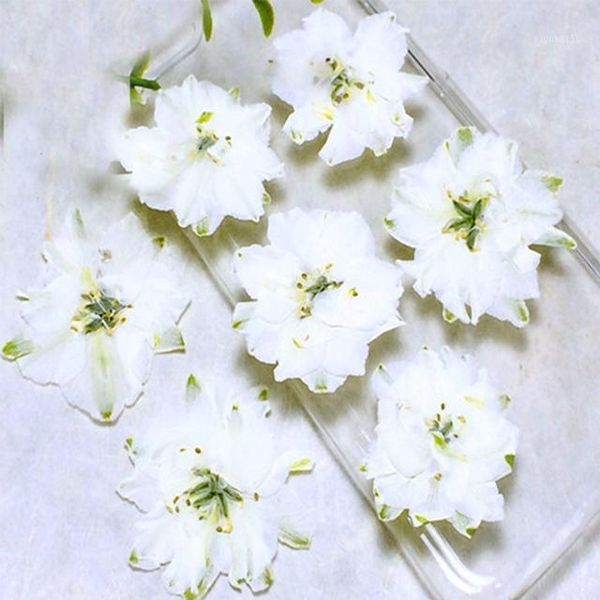red / white / purple larkspur framed pressed flowers for case floral specimens wholesale ent 1 lot/120pcs1
red / white / purple larkspur framed pressed flowers for case floral specimens wholesale ent 1 lot/120pcs1