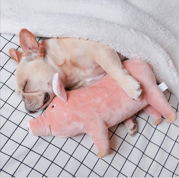 pet dogs sleeping pigs toys warm soft plush cotton sleeping partner for puppy dog chewing /interactive toy pet supplies
pet dogs sleeping pigs toys warm soft plush cotton sleeping partner for puppy dog chewing /interactive toy pet supplies