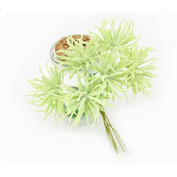 decorative flowers & wreaths 6pcs artificial succulent plant grass for diy wedding christmas decoration scrapbooking fake flowers1
decorative flowers & wreaths 6pcs artificial succulent plant grass for diy wedding christmas decoration scrapbooking fake flowers1