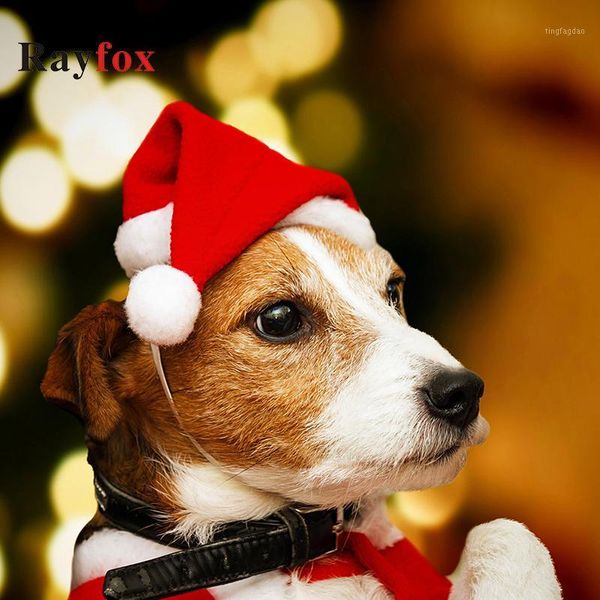 christmas decorations navidad santa claus hat for cat dog puppy ornaments dekoration year merry pet cap1
christmas decorations navidad santa claus hat for cat dog puppy ornaments dekoration year merry pet cap1