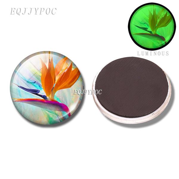 luminous flower fridge magnet glass sunflower lotus daisy rose dandelion magnetic sticker for refrigerator home decor wmtcsw petsyard
luminous flower fridge magnet glass sunflower lotus daisy rose dandelion magnetic sticker for refrigerator home decor wmtcsw petsyard