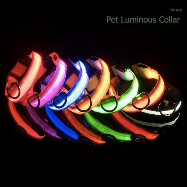 dog collars & leashes adjustable anti-lost led pet collar night safety flashing glow in the dark leash dogs luminous fluorescent glow1