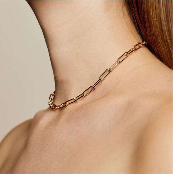 necklace, new accessories, jitter, tiktok, chain, wind, short metal chain, bone chain, Silver
necklace, new accessories, jitter, tiktok, chain, wind, short metal chain, bone chain, Silver