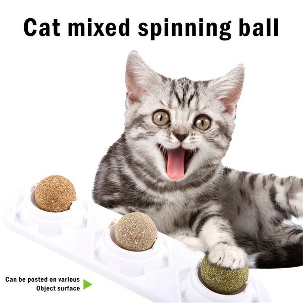 ball pet spin ball pet toy adhesive animal plastic chew toy for grinding cleaning teeth h wmtxdz
ball pet spin ball pet toy adhesive animal plastic chew toy for grinding cleaning teeth h wmtxdz