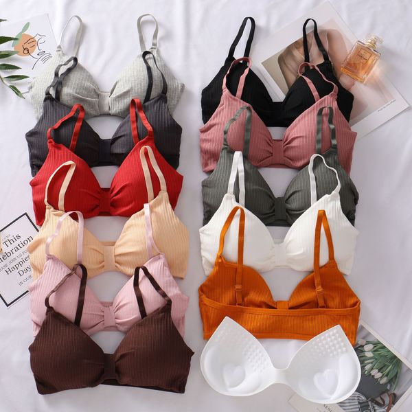3Pieces/Lot Push Up Sexy Bra for Women Lingerie Adjustable Straps Wire Free Bra Female Brassiere Fashion Bralette Cotton Seamless Underwear, Black
3Pieces/Lot Push Up Sexy Bra for Women Lingerie Adjustable Straps Wire Free Bra Female Brassiere Fashion Bralette Cotton Seamless Underwear, Black