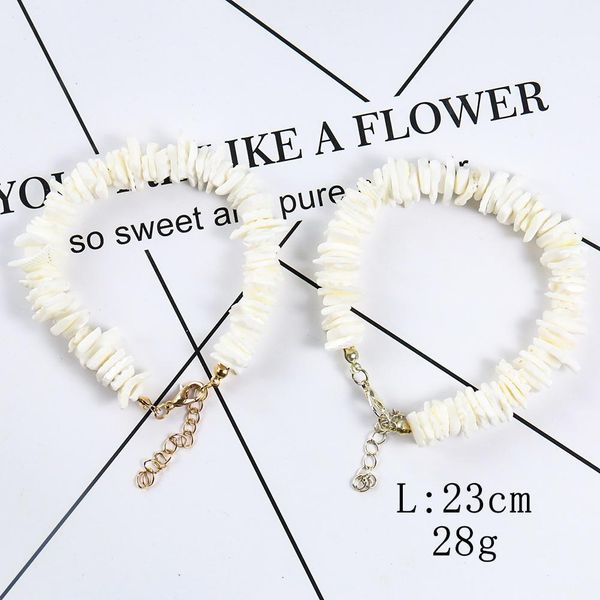natural irregular shell fragments women's bracelet necklace seashell charm jewelry gifts summer boho jewelry for women h jlltjk
natural irregular shell fragments women's bracelet necklace seashell charm jewelry gifts summer boho jewelry for women h jlltjk