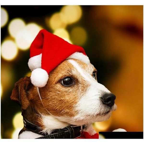 pets christmas hats merry christmas decorations for home cap xmas small plush santa hat for pet dog cat hat happy new year gift divho
pets christmas hats merry christmas decorations for home cap xmas small plush santa hat for pet dog cat hat happy new year gift divho