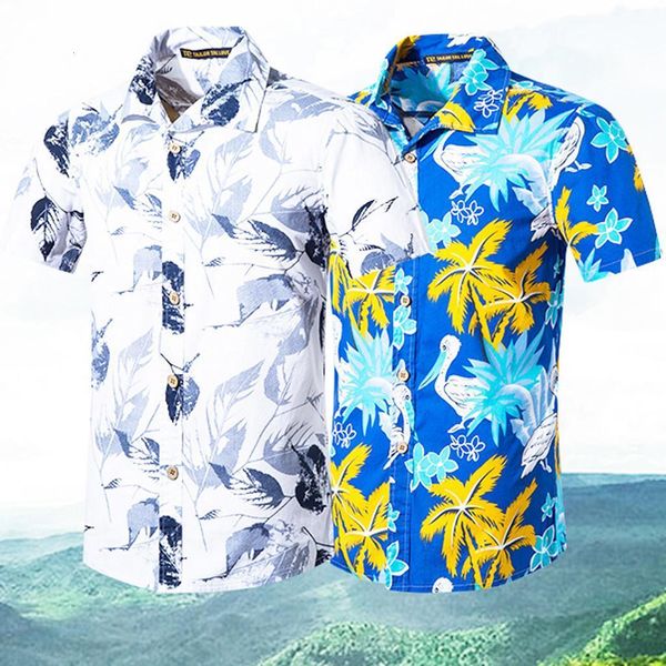 2019 new hawaiian shirt men women fashion new beach style printing cotton short sleeve shirt hemden herren shirt men 5, White;black
2019 new hawaiian shirt men women fashion new beach style printing cotton short sleeve shirt hemden herren shirt men 5, White;black