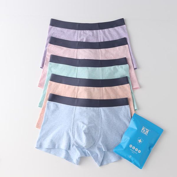 10 pcs/lot men's underwear high-end fashion good cotton color underwear, Black;white
10 pcs/lot men's underwear high-end fashion good cotton color underwear, Black;white