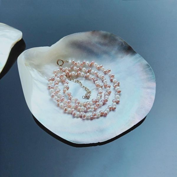 natural seashells black butterfly shell jewelry diy shell nautical beach decor scallop specimen restaurant caviar seasoning tray h jllmjs
natural seashells black butterfly shell jewelry diy shell nautical beach decor scallop specimen restaurant caviar seasoning tray h jllmjs