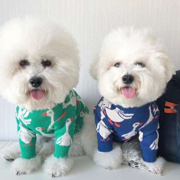 chao brand cartoon autumn and winter warm core spun yarn pullover high collar teddy cute fadou pet sweater dog cloth
chao brand cartoon autumn and winter warm core spun yarn pullover high collar teddy cute fadou pet sweater dog cloth