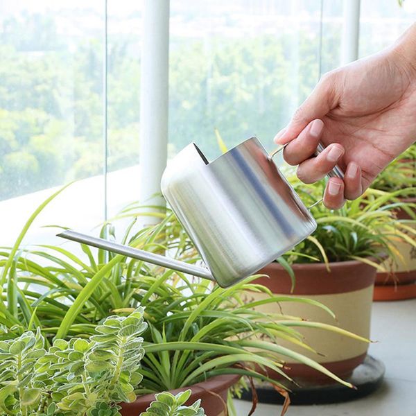 watering equipments 300ml/1.5l garden can black stainless steel indoor outdoor plants long spout pot tools
watering equipments 300ml/1.5l garden can black stainless steel indoor outdoor plants long spout pot tools