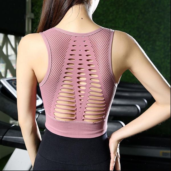 women seamless high impact sports bra with removable cups high support workout crop bra back cutout activewear, White
women seamless high impact sports bra with removable cups high support workout crop bra back cutout activewear, White