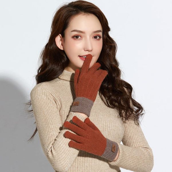 women winter plush thermal storage warm korean thickened alpaca wool sensitive touch screen knitted gloves 
women winter plush thermal storage warm korean thickened alpaca wool sensitive touch screen knitted gloves
