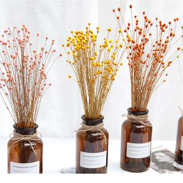 50pcs real happy flower small natural dried flowers bouquet dry flowers press mini decorative pgraphy p backdr sqcdxc
50pcs real happy flower small natural dried flowers bouquet dry flowers press mini decorative pgraphy p backdr sqcdxc