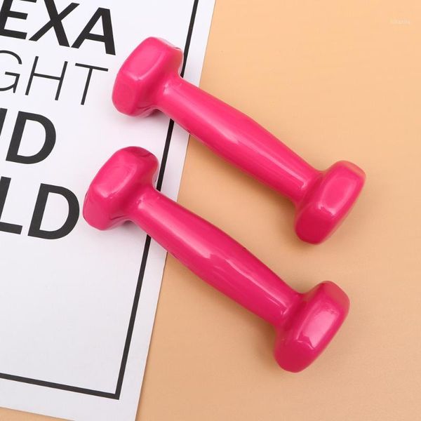 dumbbells 2pcs plastic dipping cast iron non-slip fitness hand weights equipment gym dumbbell for women1
dumbbells 2pcs plastic dipping cast iron non-slip fitness hand weights equipment gym dumbbell for women1