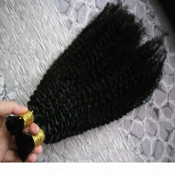 mongolian afro kinky curly hair 2pcs no weft peruvian hair bundles 200g human hair for braiding bulk no attachment, Black
mongolian afro kinky curly hair 2pcs no weft peruvian hair bundles 200g human hair for braiding bulk no attachment, Black