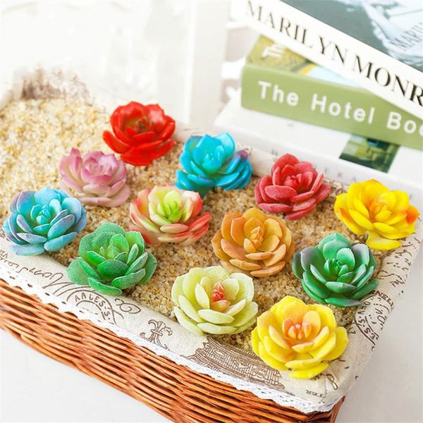 decorative flowers & wreaths 1pc multicolor mini bonsai artificial succulents plants home garden decoration fake diy wedding miniascape part
decorative flowers & wreaths 1pc multicolor mini bonsai artificial succulents plants home garden decoration fake diy wedding miniascape part