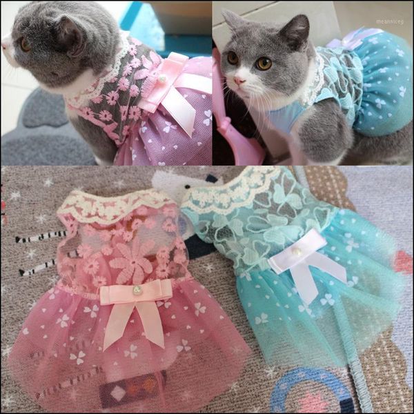summer cute pet cat dress fashion lace cat clothes for cats kitten kitty dresses casual bow tie dog skirt cats clothing for pets1
summer cute pet cat dress fashion lace cat clothes for cats kitten kitty dresses casual bow tie dog skirt cats clothing for pets1