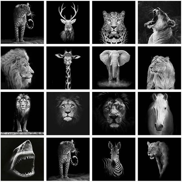 black white animal diamond painting 5d diy full square drill giraffe lion tiger elephant diamond embroidery living room decor
black white animal diamond painting 5d diy full square drill giraffe lion tiger elephant diamond embroidery living room decor