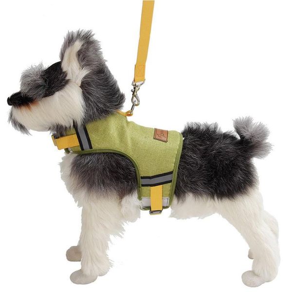 pet harness and leash set cat dog numb-proof vest and chest strap with traction rope suit new dropship
pet harness and leash set cat dog numb-proof vest and chest strap with traction rope suit new dropship