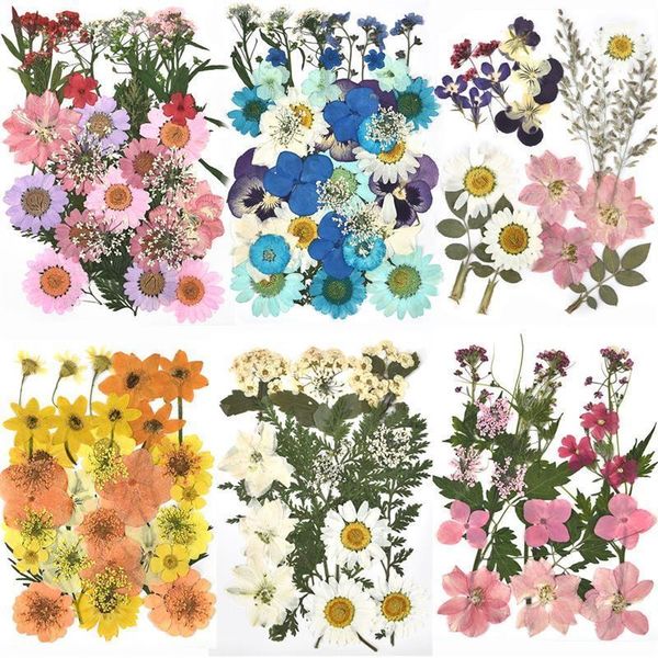 decorative flowers & wreaths 1 pack dried uv resin natural flower stickers dry beauty decal for diy epoxy filling jewelry decoration 2021
decorative flowers & wreaths 1 pack dried uv resin natural flower stickers dry beauty decal for diy epoxy filling jewelry decoration 2021