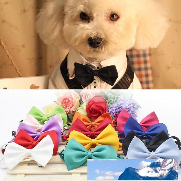 factoryfeorfashion neck bow adjustable cute cat collar tie christmas decoration pet supply dog accessory wholesale vt0398
factoryfeorfashion neck bow adjustable cute cat collar tie christmas decoration pet supply dog accessory wholesale vt0398