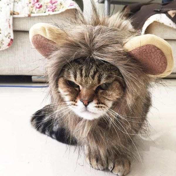furry gatos jouet chat katten speelgoed pet hat costume lion mane wig for cat pets halloween fancy dress up with ears home1
furry gatos jouet chat katten speelgoed pet hat costume lion mane wig for cat pets halloween fancy dress up with ears home1