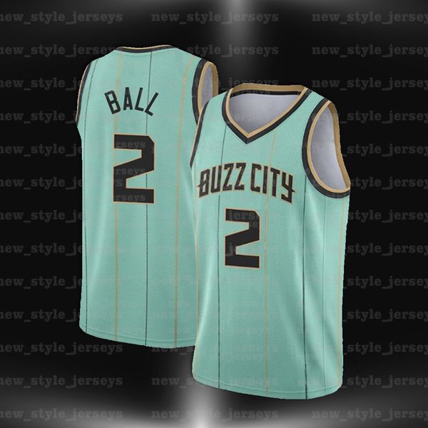 2 lamelo 20 gordon ball terry hayward charlotte hornets men rozier basketball jerseys caleb martin, Black;red
2 lamelo 20 gordon ball terry hayward charlotte hornets men rozier basketball jerseys caleb martin, Black;red