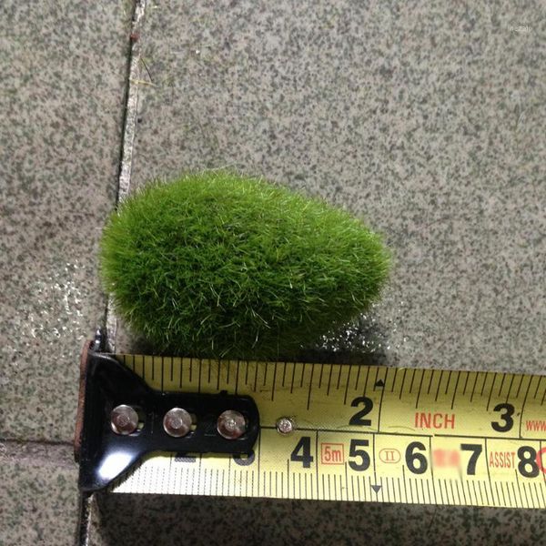 decorative flowers & wreaths 10pcs office prop lifelike el wall simulation landscape home shop window artificial plant fake stone moss ball1
decorative flowers & wreaths 10pcs office prop lifelike el wall simulation landscape home shop window artificial plant fake stone moss ball1