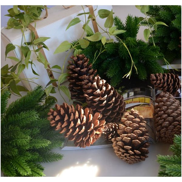 5 pcs artificial plants pine branches christmas tree accessories diy new year party decorations xmas ornaments kids gift a4520 f wmtluv
5 pcs artificial plants pine branches christmas tree accessories diy new year party decorations xmas ornaments kids gift a4520 f wmtluv
