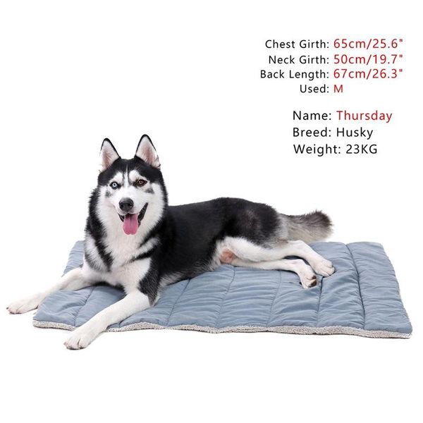 foldable pet dog bed mat pet cushion winter warm puppy cat plush beds for small large dogs cats pad chihuahua cama perro
foldable pet dog bed mat pet cushion winter warm puppy cat plush beds for small large dogs cats pad chihuahua cama perro