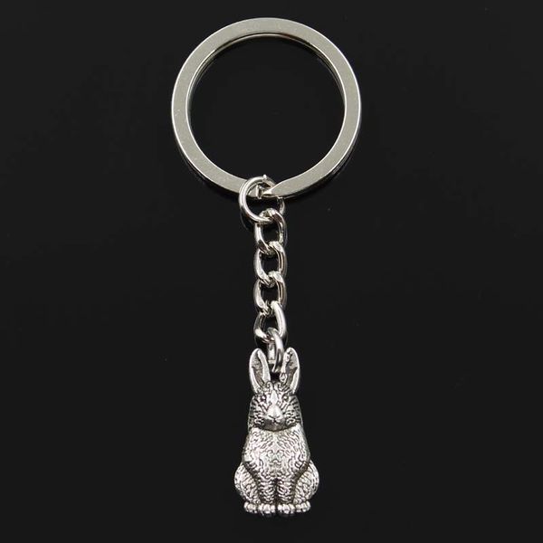 fashion rabbit 24x10mm pendant 30mm key ring metal chain bronze silver color men car gift souvenirs keychain dropshipping
fashion rabbit 24x10mm pendant 30mm key ring metal chain bronze silver color men car gift souvenirs keychain dropshipping