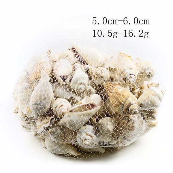 5 шт. натуральная улитка оболочка phoenix conch nautical decor diy ювелирные изделия подвески образец ремесла домашний декор аквариум ландша
5 шт. натуральная улитка оболочка phoenix conch nautical decor diy ювелирные изделия подвески образец ремесла домашний декор аквариум ландша