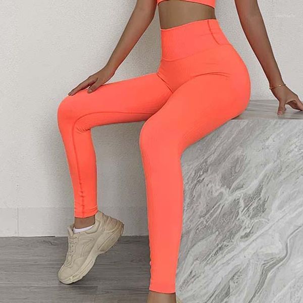 yoga outfits seamless pants women high waisted sports leggings ribbed fitness gym clothing outdoor pants1, White;red
yoga outfits seamless pants women high waisted sports leggings ribbed fitness gym clothing outdoor pants1, White;red