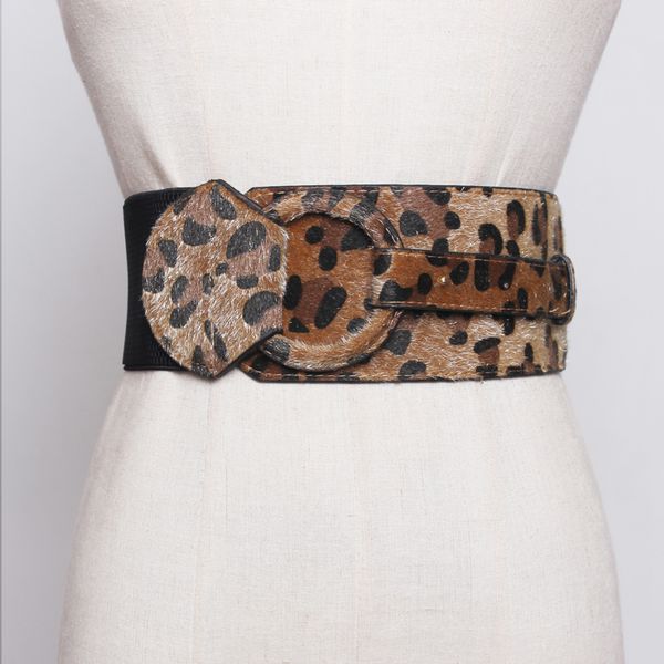 brand design waistband women's elastic wide belt stretchy corset female black cincher waistbands wide belts for lady dress 201120, Black;brown
brand design waistband women's elastic wide belt stretchy corset female black cincher waistbands wide belts for lady dress 201120, Black;brown