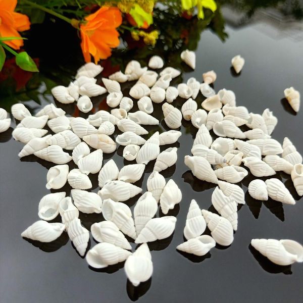 100pcs natural snail shell aquarium decoration mini white conch seashell diy crafts for party beach wedding home decor nautical h bbyumy
100pcs natural snail shell aquarium decoration mini white conch seashell diy crafts for party beach wedding home decor nautical h bbyumy