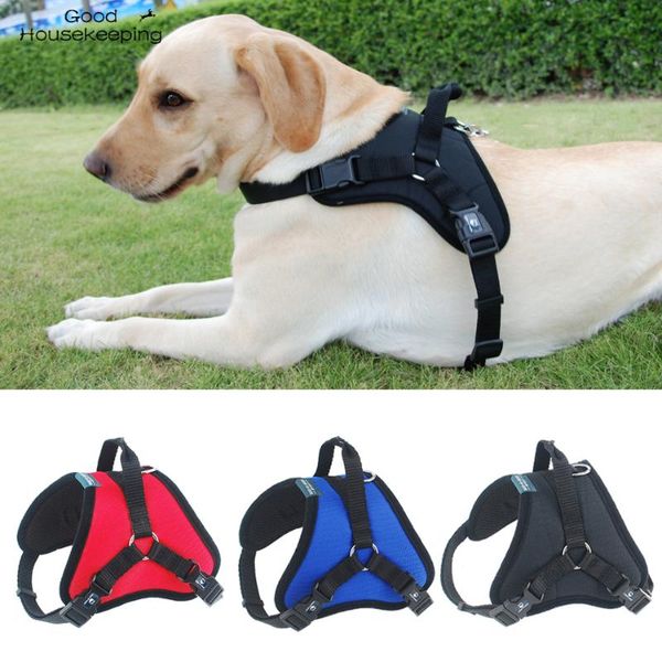 dog collars & leashes pets harness vest breathable mesh collar accessories padded adjustable safety vehicular lead for medium large dogs
dog collars & leashes pets harness vest breathable mesh collar accessories padded adjustable safety vehicular lead for medium large dogs