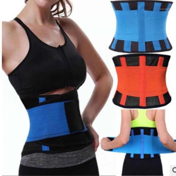 waist support woman man sport belt,adjustable lumbar back sweat belt,fitness slimming modeling body shaper trainer corset1, Black;gray
waist support woman man sport belt,adjustable lumbar back sweat belt,fitness slimming modeling body shaper trainer corset1, Black;gray