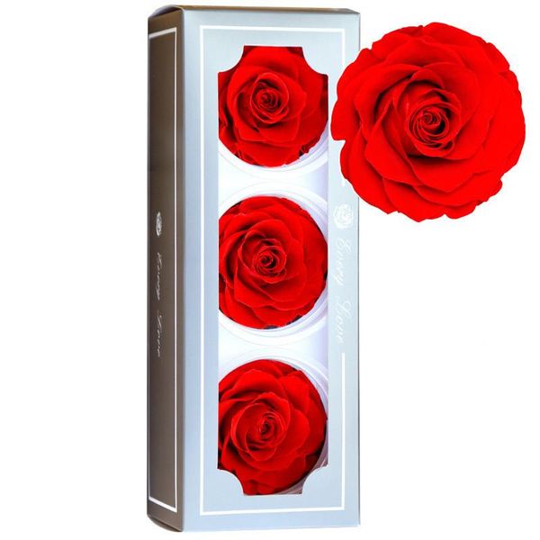 8cm rose head 3pcs/box flowers immortal rose valentine gift eternal life flower material kunstbloemen eternelle gift box
8cm rose head 3pcs/box flowers immortal rose valentine gift eternal life flower material kunstbloemen eternelle gift box