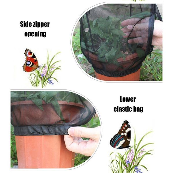 garden insect net cage butterfly insect habitat feeding net cover flower pot ornamental plant insect net cage wmthsz petsyard
garden insect net cage butterfly insect habitat feeding net cover flower pot ornamental plant insect net cage wmthsz petsyard