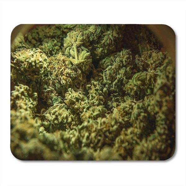 pads green weed cannabis marijuana sativa heads medical bud license farm mouse pad for notebooks
pads green weed cannabis marijuana sativa heads medical bud license farm mouse pad for notebooks