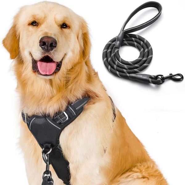 rabbitgoo no pull dog harness and leash set for dog collars adjustable pet vest harness training leash for large dogs
rabbitgoo no pull dog harness and leash set for dog collars adjustable pet vest harness training leash for large dogs