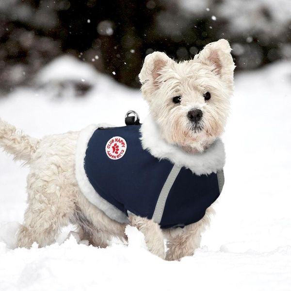 dog harness vest for small medium dogs cats chihuahua pet puppy french bulldog harness reflective winter dog clothes w sqcqhv
dog harness vest for small medium dogs cats chihuahua pet puppy french bulldog harness reflective winter dog clothes w sqcqhv