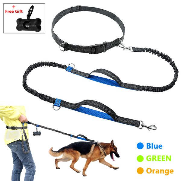 retractable elastic dog strap, hands- reflective lead run, walking, up to 150 pounds, large dogbag dispenser
retractable elastic dog strap, hands- reflective lead run, walking, up to 150 pounds, large dogbag dispenser