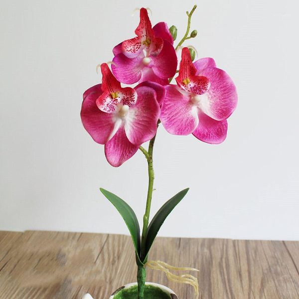 creative flowers fancy four butterfly orchid meaty plant bonsai flower arranging accessories sdf-ship1
creative flowers fancy four butterfly orchid meaty plant bonsai flower arranging accessories sdf-ship1