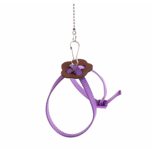 let's pet colorful parrot bird leash outdoor adjustable harness training rope f qyljgr yh_pack
let's pet colorful parrot bird leash outdoor adjustable harness training rope f qyljgr yh_pack