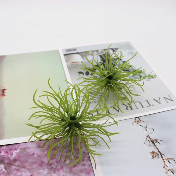 новые 5 шт. искусственный глюк, смоделированный морской морской фальшивый завод новый своеобразный цветочный декор для домашней вечеринки оф 
новые 5 шт. искусственный глюк, смоделированный морской морской фальшивый завод новый своеобразный цветочный декор для домашней вечеринки оф