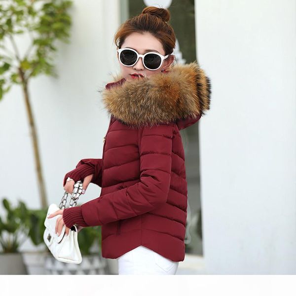 parka winter jacket women jacket fake fur collar warm woman parka outerwear down jacket winter warm female coat plus size s18101504, Black
parka winter jacket women jacket fake fur collar warm woman parka outerwear down jacket winter warm female coat plus size s18101504, Black